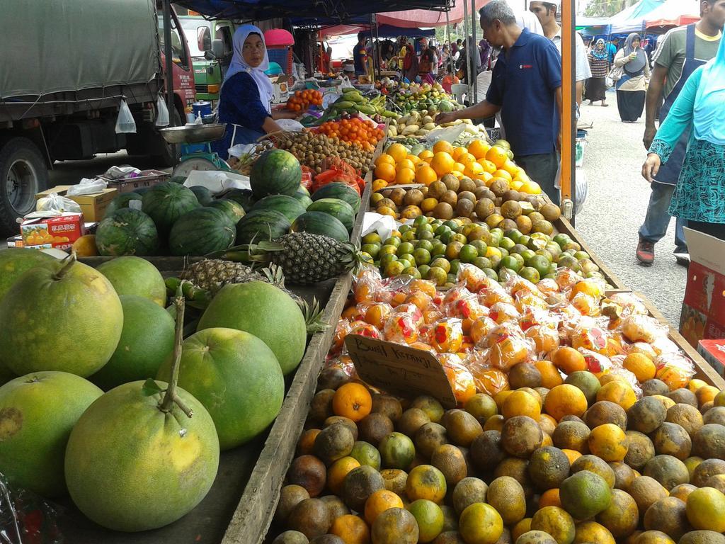 Iz Budget Kampung Kuala Besut Luaran gambar